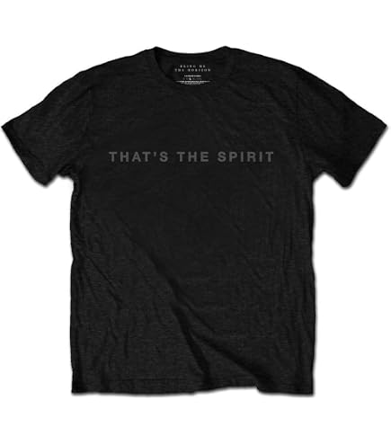Amazon.com: Bring Me The Horizon T Shirt Sempiternal Tour BMTH