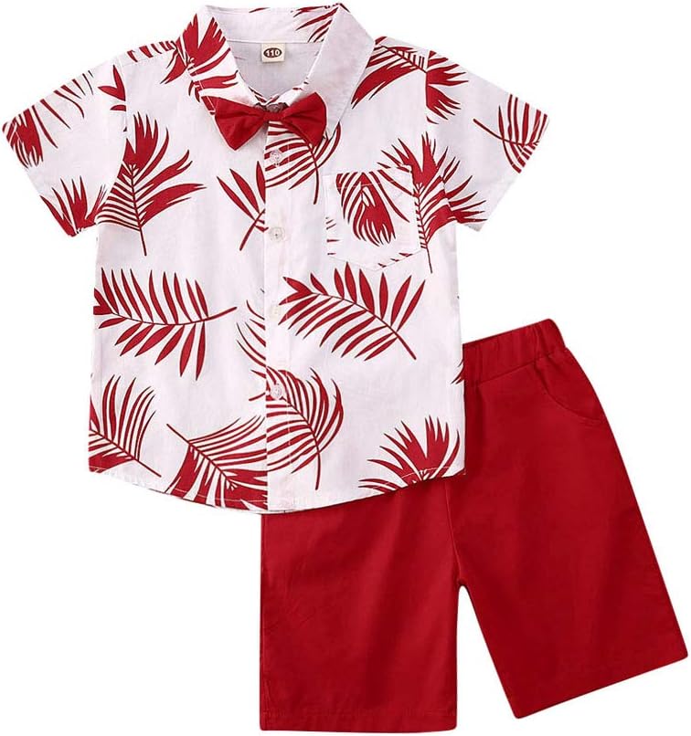 Toddler Baby Boys Shorts Set,Summer Gentleman Fashion Print Short Sleeve Button Shirt+Woven Shorts Set 2 Piece Outfits