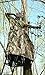 Hunters 00603 Treestand Skirt Xtra