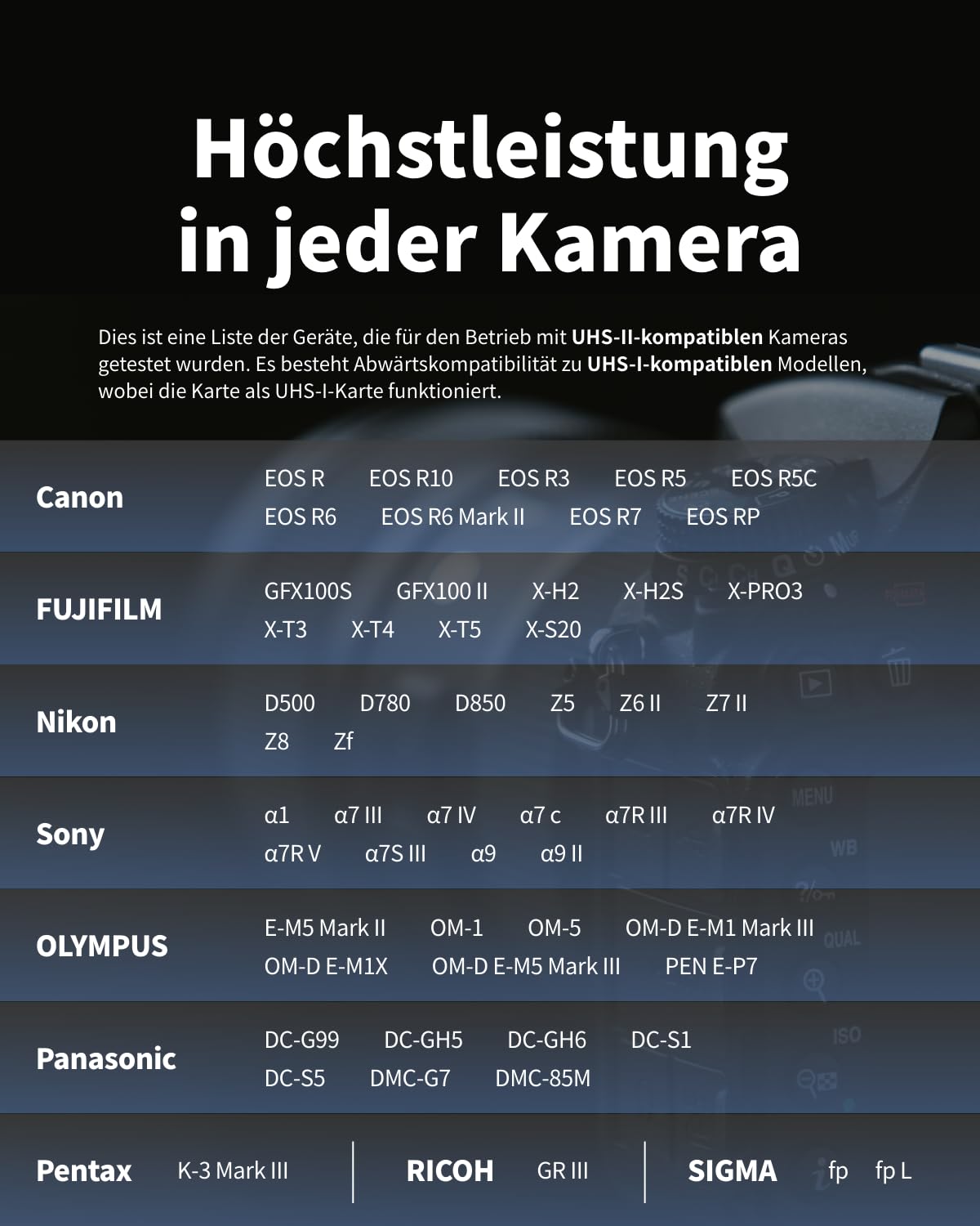 Nextorage SD Karte 256GB UHS-II SDXC, japanische speicherkarte datenspeicher SD Card, Kamera Zubehör für Nikon/Canon/Sony/Fujifilm/Nintendo Switch, F2PRO NX-F2PRO256G 9