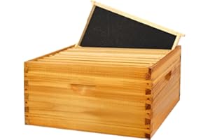 BEEINN 10 Frame Bee Hive Box, Langstroth Deep Brood Bee Box Dipped in Beeswax Include Beehive Frames and Waxed Foundation Sheets (Unassembled)