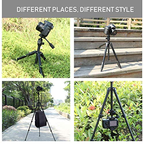 Abithid Camera Tripod for DSLR,Phone Holder Tripod for Camera, Compact