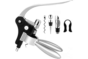 Wine Bottle Opener Set with Accessories in Luxury Magnetic Box, Pourer, extra screw | Winged Wine Opener Rabbit Red Wine Corkscrew Set by Quantum Lux (Matte Silver)