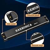 OFFCUP 24-Hole Blues Harmonica C Key Double Row Brass Core Titanium Panel view 4