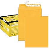 ValBox 9x12 Self Seal Security Catalog Envelopes 250 Packs Brown Kraft Envelopes with Peel and Seal Flap for Mailing, Organizing and Storage