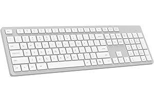 LeadsaiL Wireless Keyboard, 2.4GHz Full-Sized Ergonomic Computer Keyboard, Cordless Noiseless Keyboard,12 FN Shortcuts for Wi