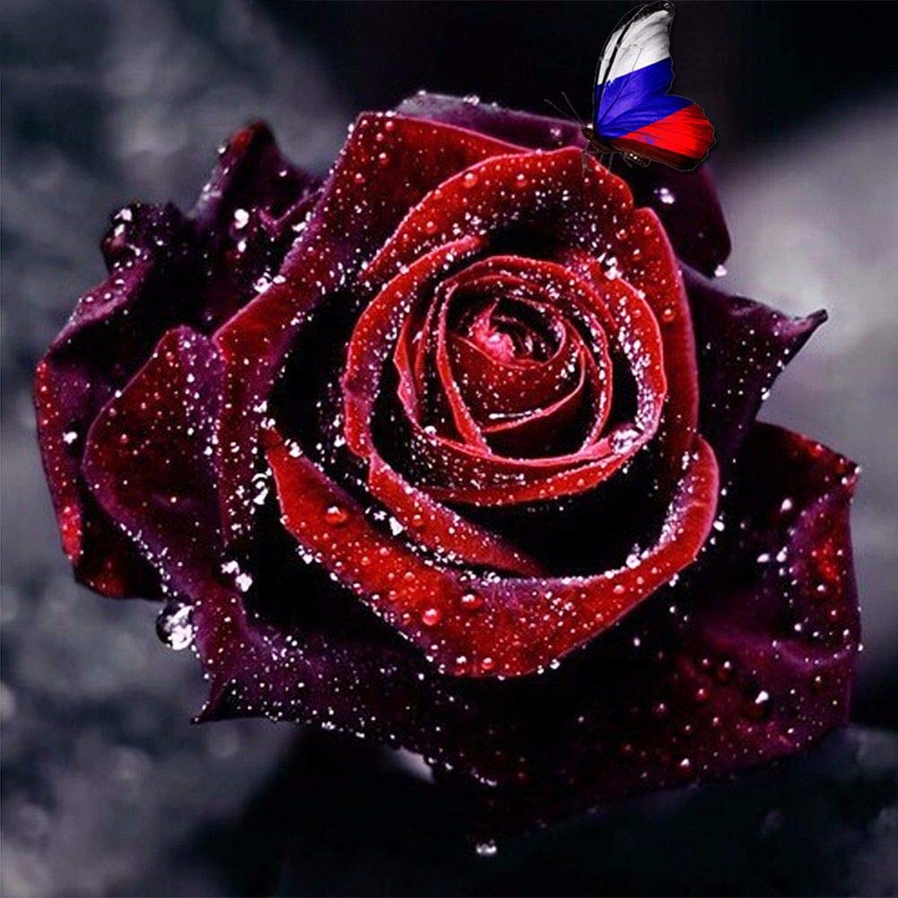 DIY 5D Diamond Painting by Number Kits for Adults Full Round Drill,Embroidery Rhinestone Painting Craft Red Flower 11.8x11.8in