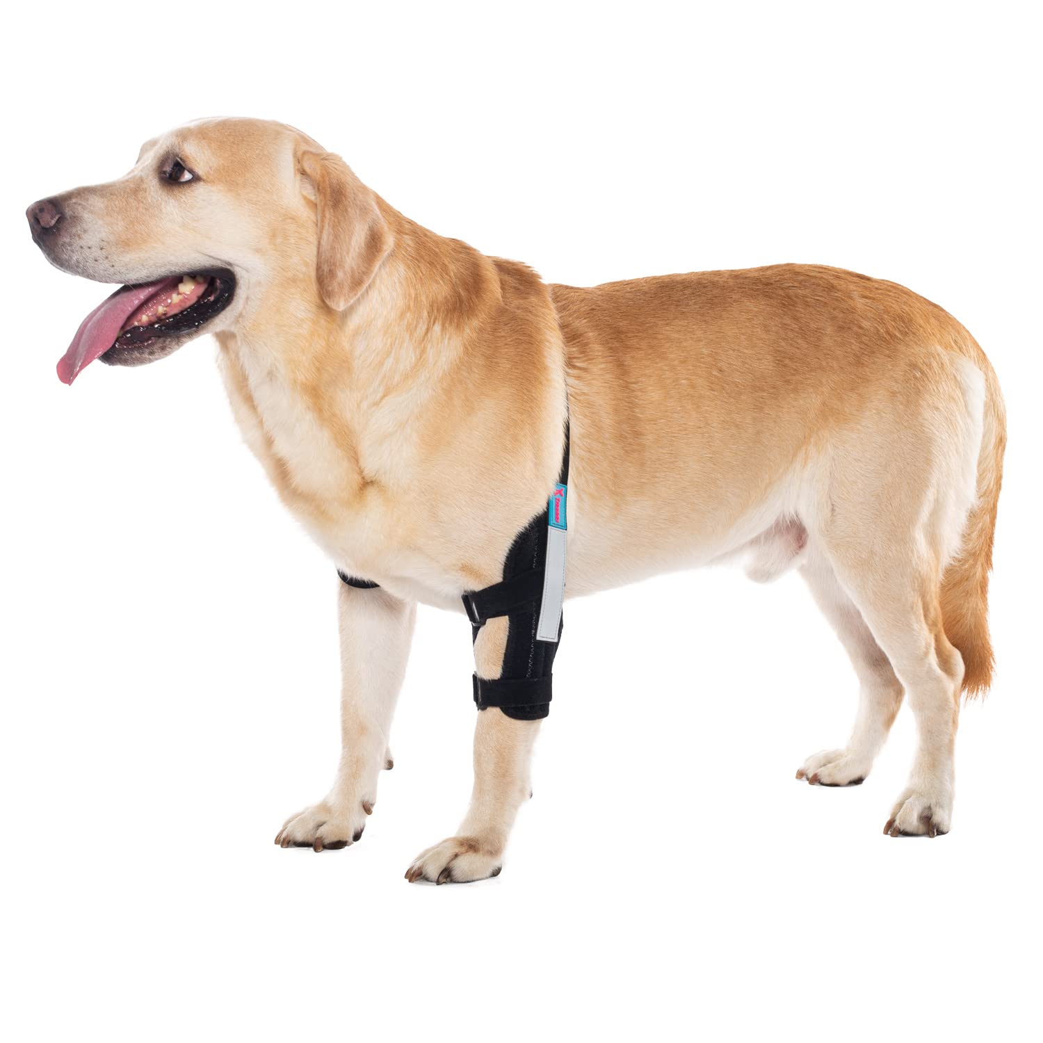 Photo 1 of yrenoer Dog Elbow Brace for Treat ACL CCL, Front Leg Brace Wrap with Metal Spring Strips for Dogs with osteoarthritis, limping from Joint Pain, Keeps The Joint Warm and Stable (L_Left)