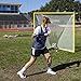 Champion Sports Official Lacrosse Balls - Multiple Colors in Packs of 2, 3, 6, and 12