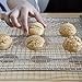 Cooling Rack 304(18/8) Stainless Steel fits Half Sheet Pan for Roasting Baking Cooking Grilling Use as Drainer Dehydration Hot Pot Trivet Rust-Resistant