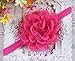 niceeshop(TM) 10 Pieces Baby Girls Cute Flower Chiffon Headband Hair Accessories