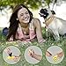 TNY-products Retractable Dog Leash W/ Break and Lock Button - 16 Feet Extendable Tape - Fit for Small/Medium Dogs - Easy To Use - Bag Dispenser Plus Extra Waste Roll and a Dog Tag Attached(Yellow)
