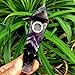 Natural Dream Amethyst Crystal Tube with 5pcs Screen Filters and 1 Brush