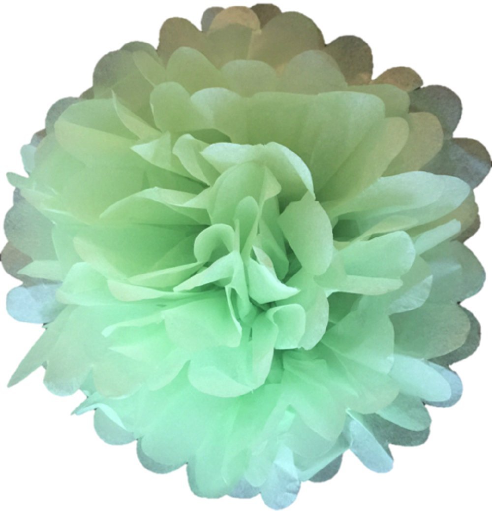 Pack Of 10 Tissue Paper Pom Poms 12" Flower Balls Handmade Wedding Party Decoration (Pastel Green)