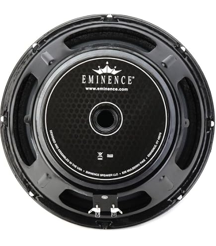 Amazon.com: Eminence 10