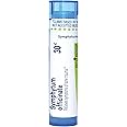 Boiron Symphytum Officinale 30C Homeopathic Medicine for Bone Trauma - 80 Pellets