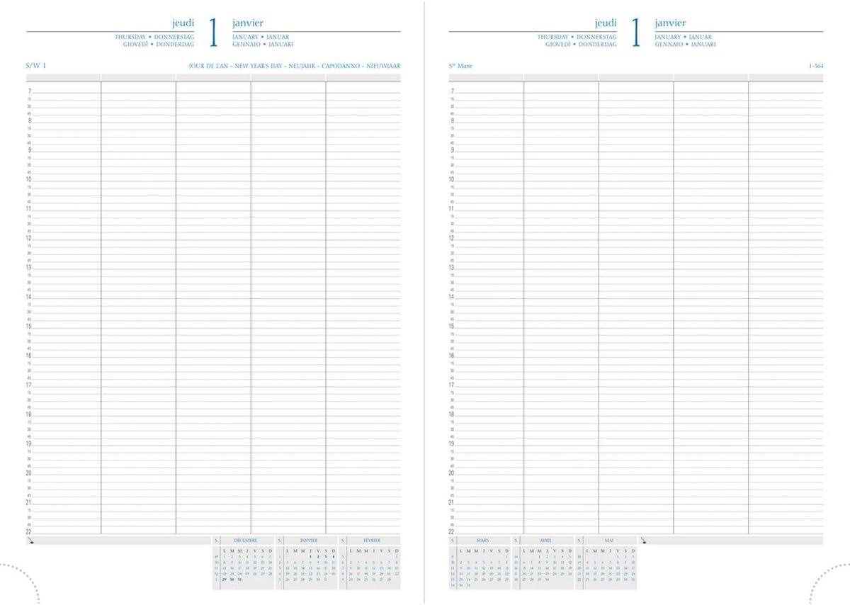 Exacompta 29/2 29422 Diary 29/2 with Plastic Cover for 10 Users January to December in French - Year 2018 - Image 3