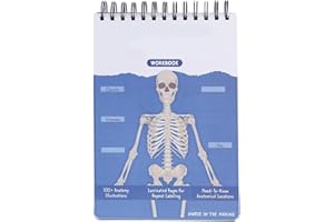 LeeJ Anatomy Label Lab Workbook, Interactive Anatomy Illustrations, Full-Color Dry-Erase Pages Physiology Study Tools, for Medical School Students, Doctors, Nurses (Blue)