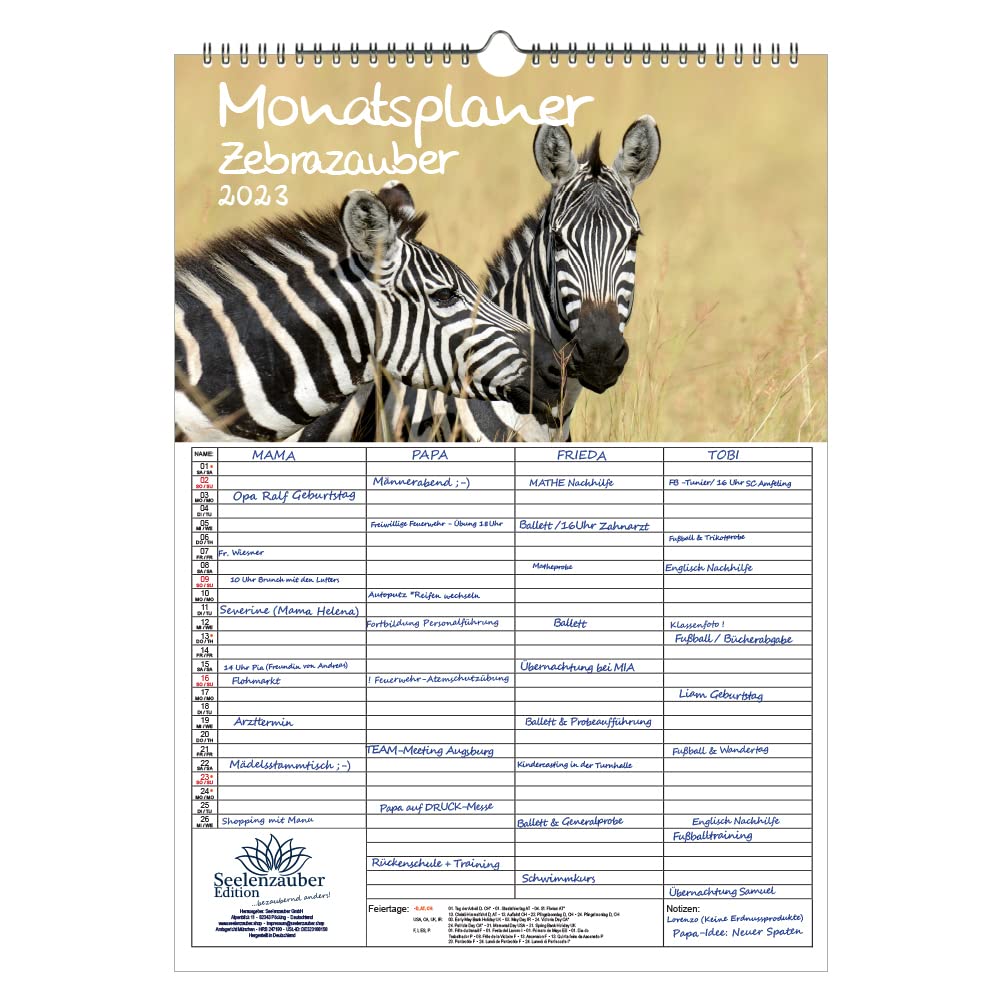 Wall Planner Family Planner 4 Columns - Zebra Magic DIN A3 Calendar for 2023 Zebra