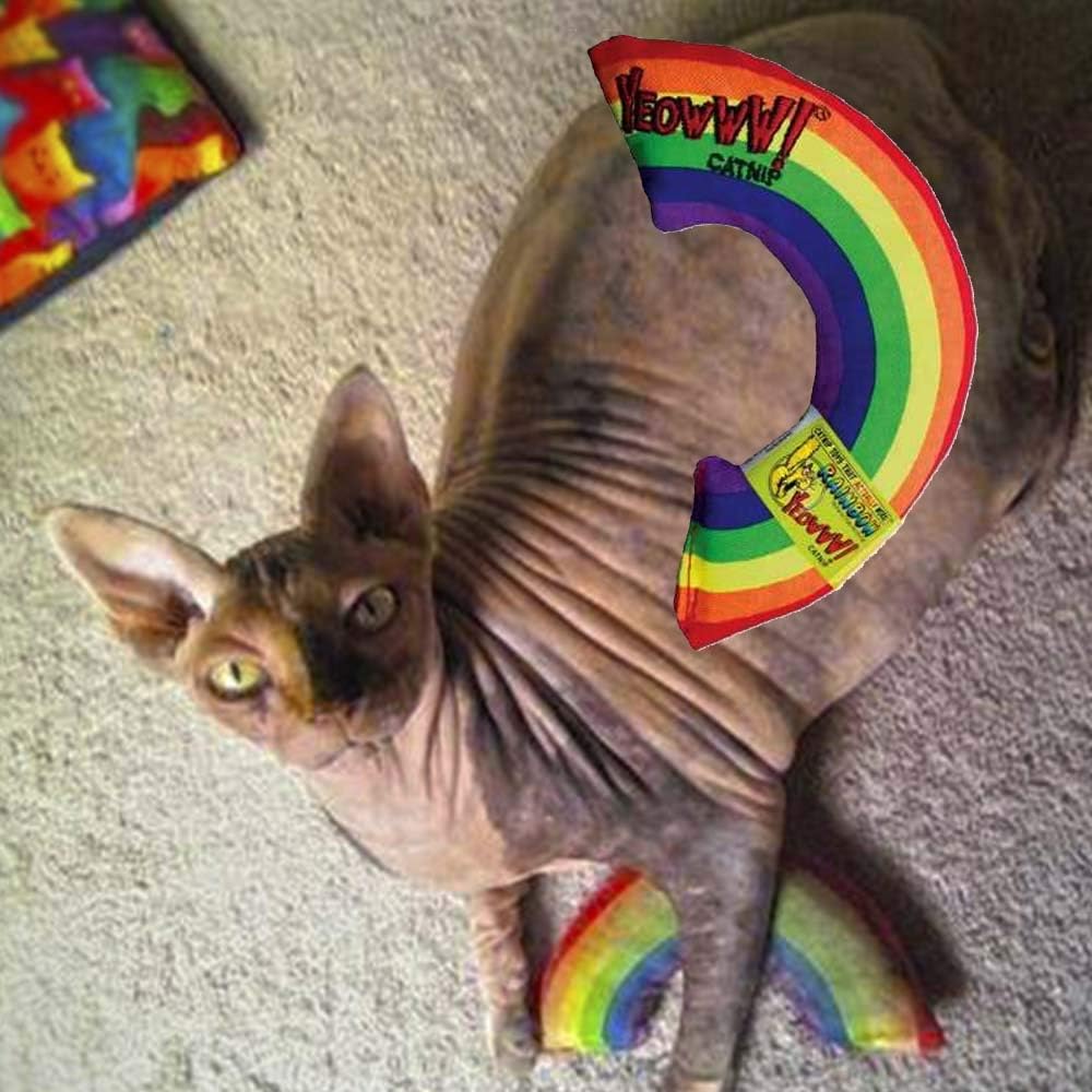 Yeowww! Catnip Toy, Rainbow : Cat Toys : Pet Supplies