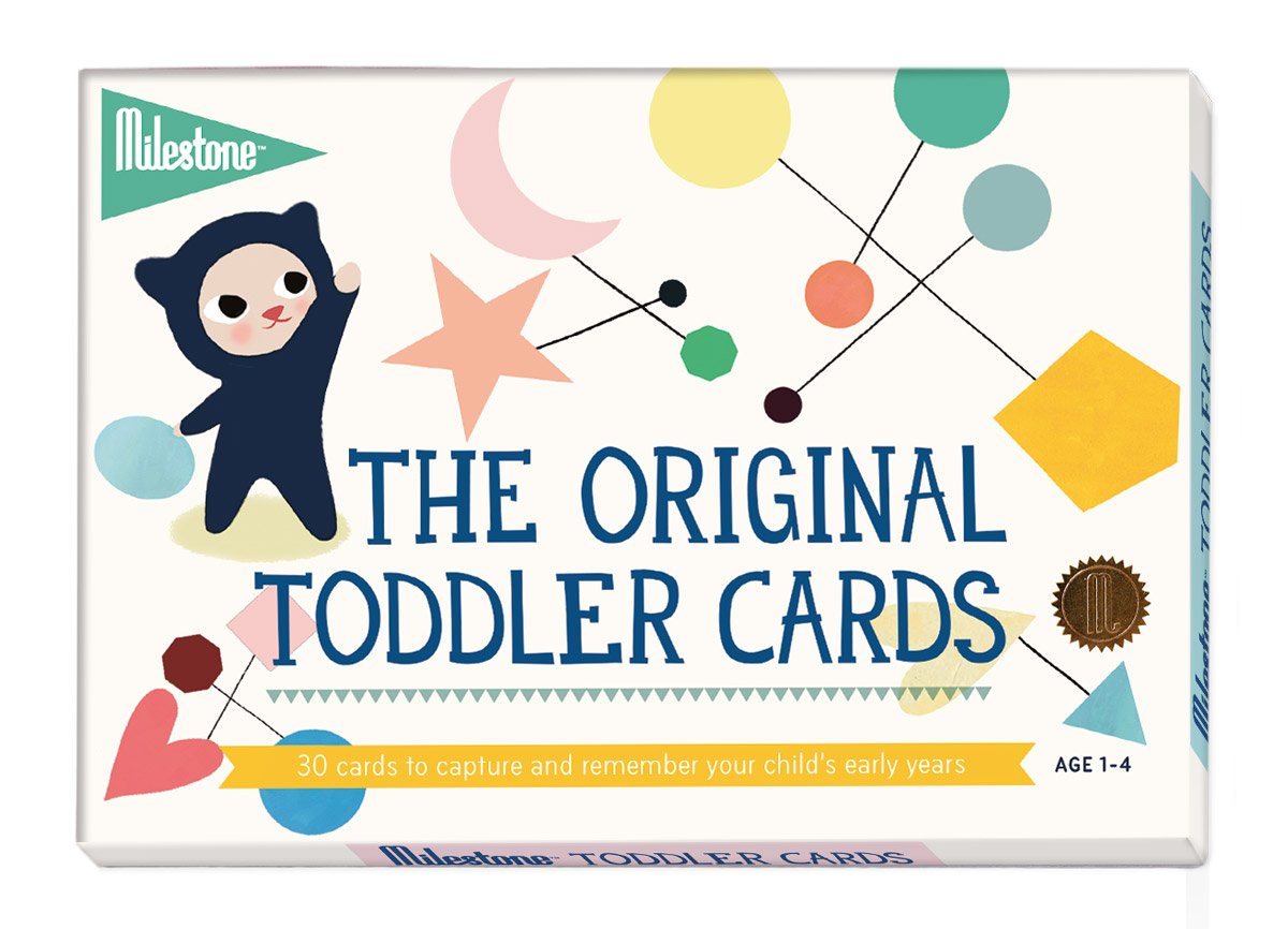 Toddler Special Moments Cards by Milestone - Ages 1-4 Years
