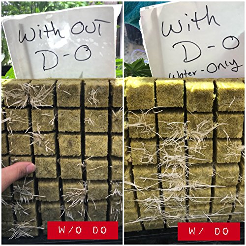 Dissolved Oxygen for Hydroponics and Soil Gardens, Natural Growth Stimulator for Healthy Roots, One Step Rooting Nutrients Solution for Your Hydro Farm, Use for Clipping Starter Clone, Cloner Supplies - Thumbnail 2