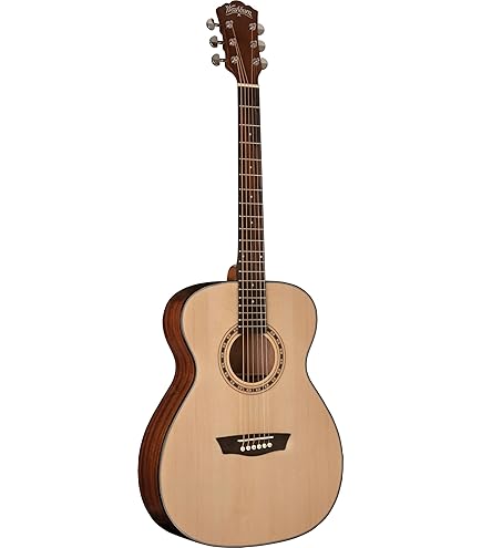 Amazon.com: Washburn Apprentice D5 with Case, Acoustic Guitar