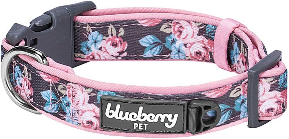 Blueberry Pet 7 Patterns Soft & Comfy Rose Flower Prints Girly Padded Adjustable Dog Collar, Large, Neck 18"-26" : Pet Supplies