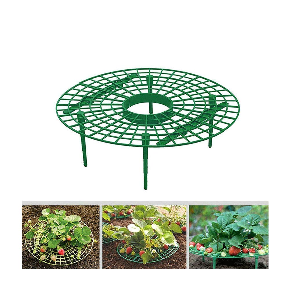 Soporte para plantas mejorado, 1 paquete de 5 unidades de soporte ...