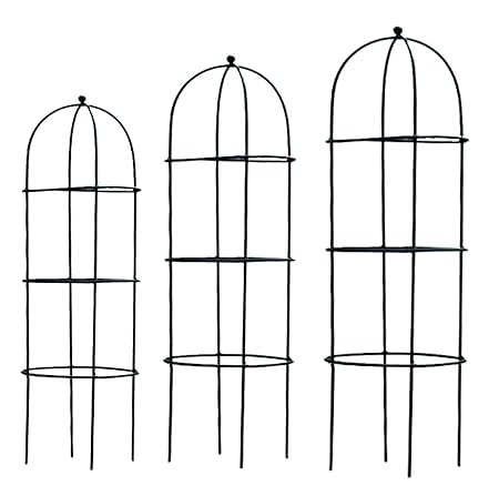 CINAGRO Metal Tubular Plant Cage, Durable Black, 3 Pieces