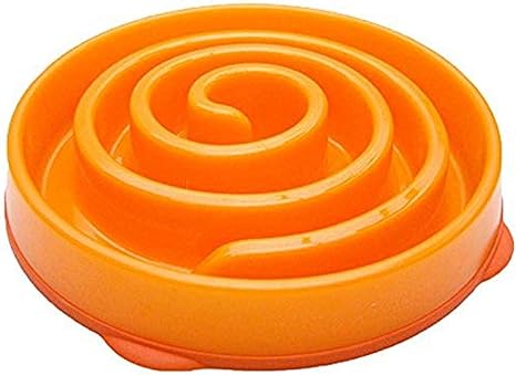 Amazon Com Kyjen Company 2868 Dog Games Coral Bowl Slow Feeder