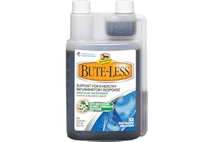Absorbine Bute-Less Long-Term Horse Comfort & Recovery Supplement Solution, Gentle on Stomach, Devil's Claw, Vitamin B-12, Yu