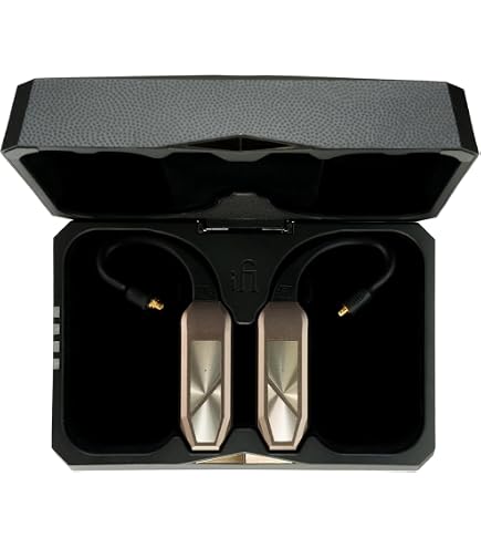 Amazon.com: Fostex USA TM2 Earphones, True Wireless Stereo in-Ear