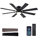 BYKISTOK Black Ceiling Fan with Light and