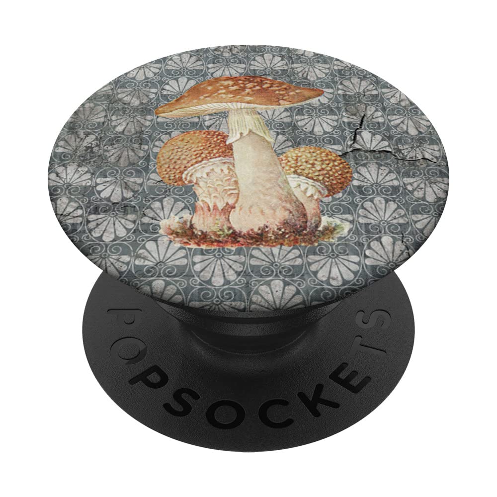 Aesthetic Old Paper Mycology Vintage Cottagecore Mushroom PopSockets Swappable PopGrip