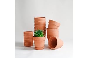 HERDUK Terracotta Pots - 4 inch, Pack of 12 Small Clay Pots with Drainage Holes and Saucers for Succulents, Cactus, Indoor, Outdoor