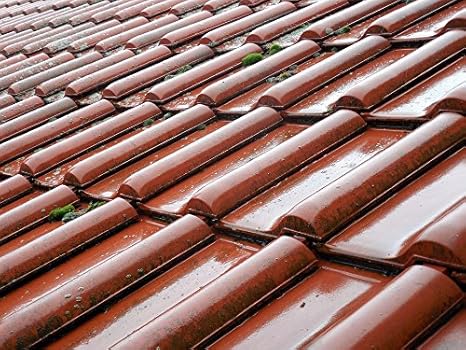 Amazon Co Jp ラミネート加工ポスターレンガタイル濡れ雨屋根家屋根赤屋根ポスタープリント24 X 36 ホーム キッチン