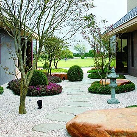 LJXiioo - Bobina de Bordes de plástico para Tabla de terraza, se ...