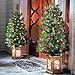 4 Ft Pre-Lit Entryway Christmas Trees - Set of 2 - By Improvements