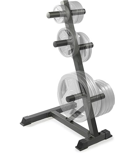 Disque Olympique 25 Lb – Fitness Gear, Plat Profond, Pour Haltérophilie Et CrossFit