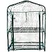 Kendal Garden Mini Greenhouse (2 Tier)