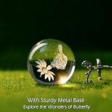 IFOLAINA 60mm Crystal Ball 3D Butterfly Paperweight Glass Sphere Decoration view 4