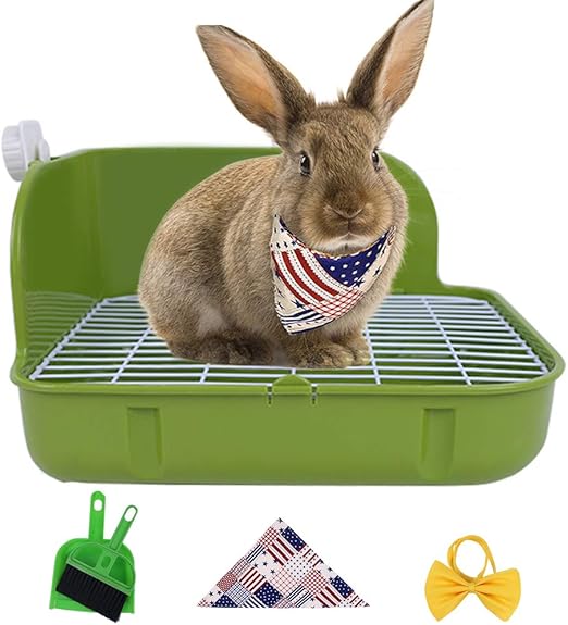 can dogs eat cooked beans