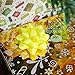 120-Count Gift Wrap Bows - Gift Bows Peel and Stick Self Adhesive Gift Ribbon Bows - Perfect for Christmas, Birthday, All Occasions - Matte, Includes Large, Medium, Small Sizes, 8 Assorted Neon Colors