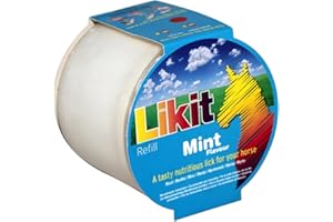 Mint Flavoured Treats LiKit