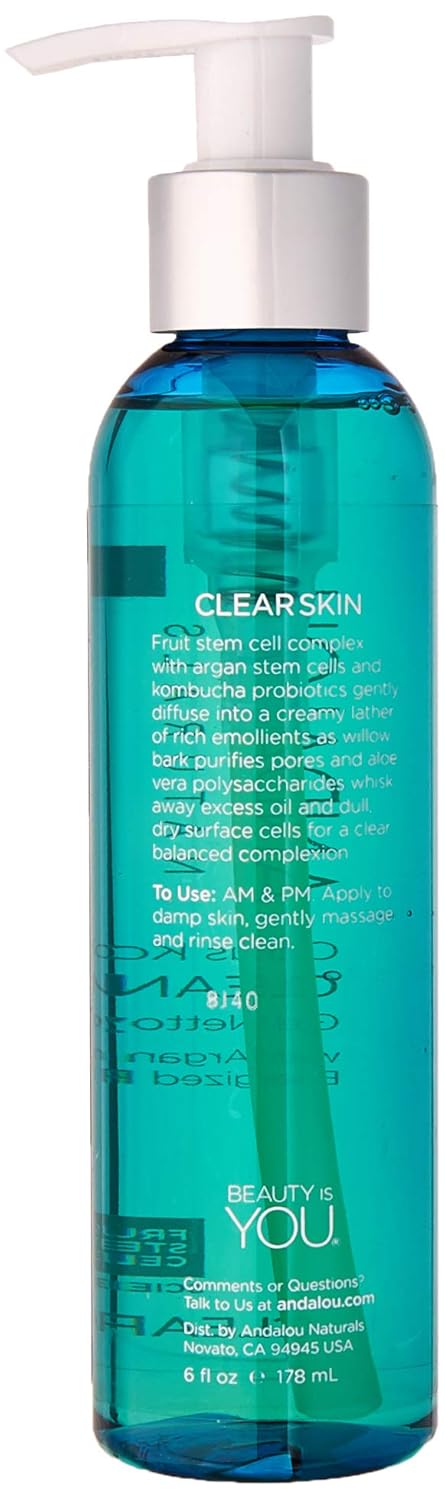 Andalou Naturals Citrus Kombucha Cleansing Gel, 6 Ounces: Beauty