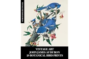 Vintage Art: John James Audubon: 20 Botanical Bird Prints: Ephemera for Framing, Collage, Decoupage, Mixed Media and Junk Journals