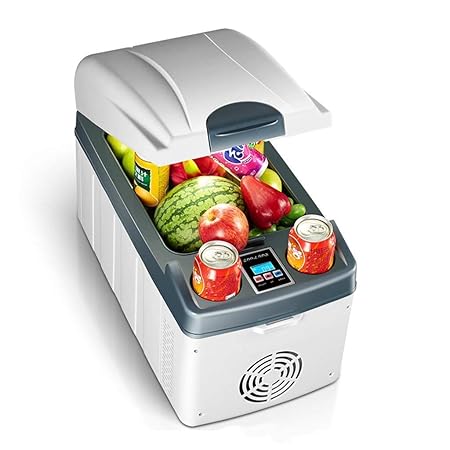 Family in Mini Nevera,Pantalla Digital Mini Nevera, 20L Horizontal ...