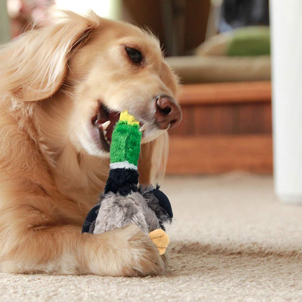 ATDAWN Squeaky Dog Toy, Unstuffed Dog Chew Toy, Value Pack 5 Plush Animal Dog Toy Set