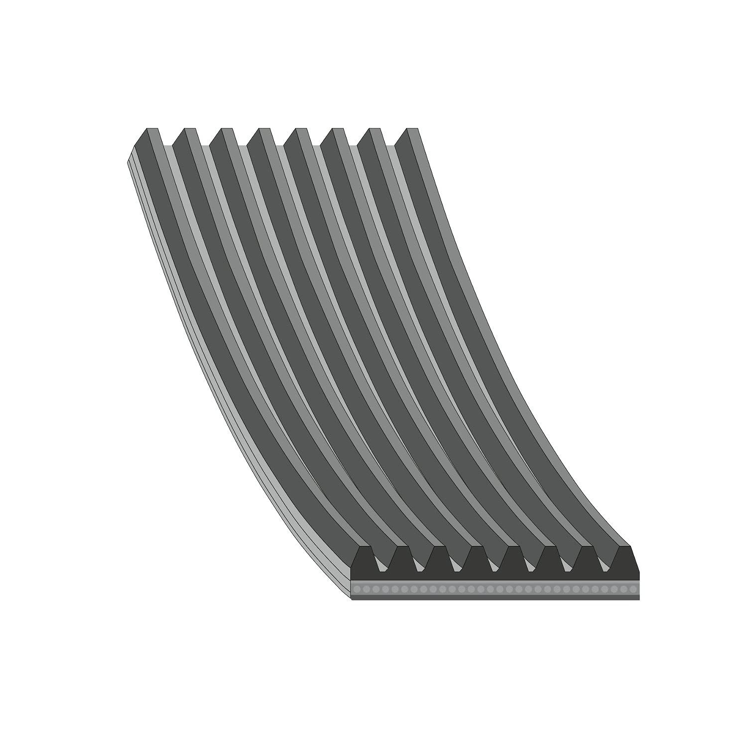 febi bilstein 29058 Auxiliary Belt